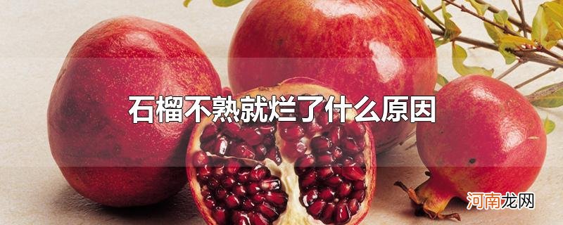 石榴不熟就烂了什么原因