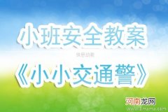 中班社会活动警察与司机教案反思