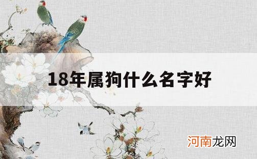 18年属狗什么名字好_好听男孩名字2018年属狗