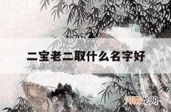 二宝老二取什么名字好_大宝二宝名字