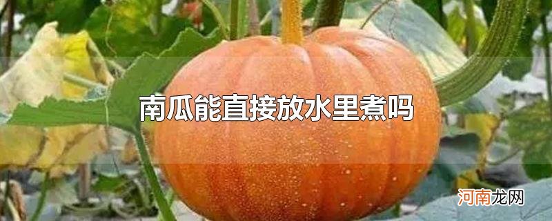 南瓜能直接放水里煮吗