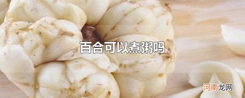 百合可以煮粥吗