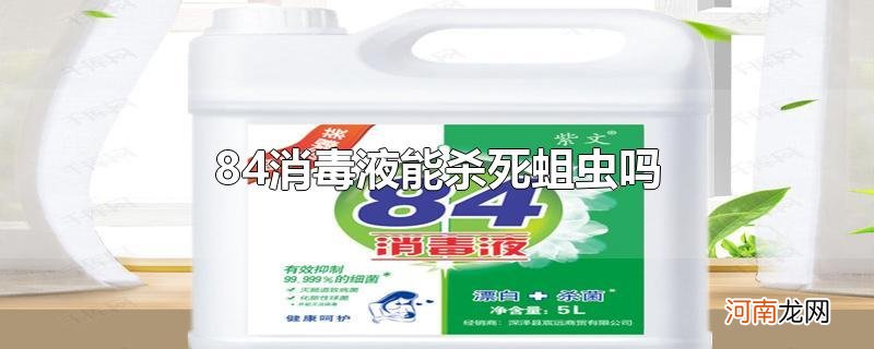 84消毒液能杀死蛆虫吗