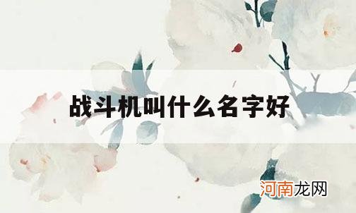 战斗机叫什么名字好_战斗机名称有哪些