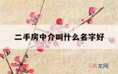 二手房中介叫什么名字好_好听二手房中介名字