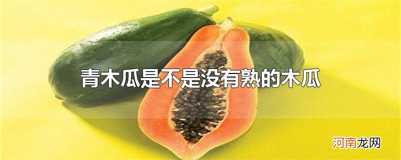 青木瓜是不是没有熟的木瓜