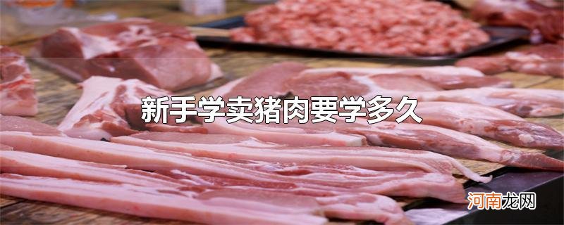 新手学卖猪肉要学多久