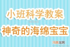 中班科学活动球宝宝玩滑梯教案反思