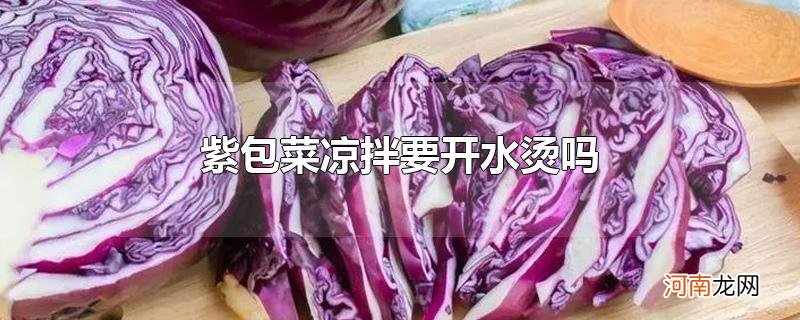 紫包菜凉拌要开水烫吗