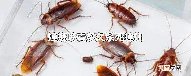 蟑螂喷雾多久杀死蟑螂