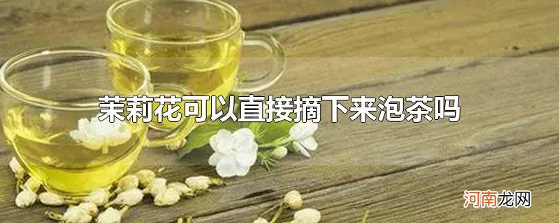 茉莉花可以直接摘下来泡茶吗