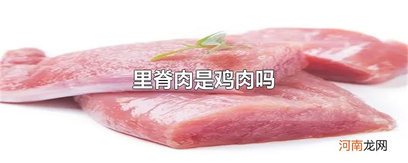 里脊肉是鸡肉吗