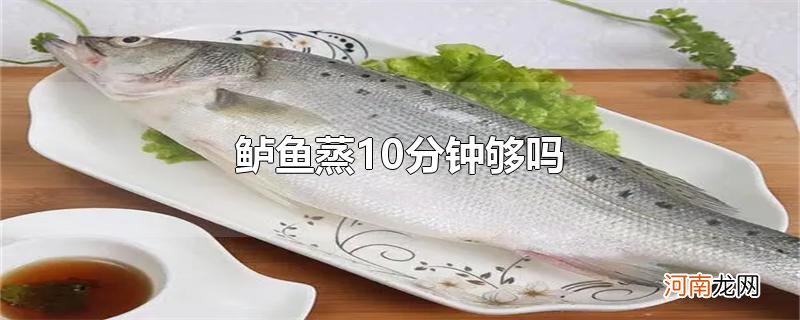 鲈鱼蒸10分钟够吗