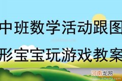 中班数学活动图形宝宝玩分家教案反思