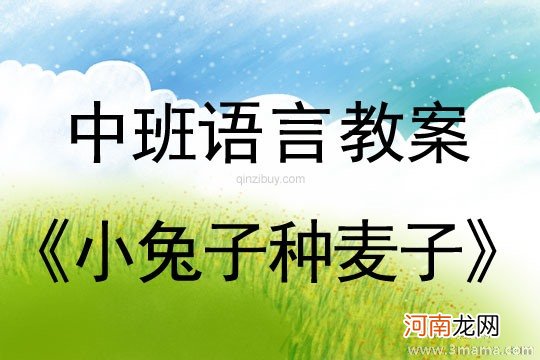 大班语言活动小兔子种麦子教案反思