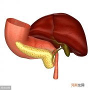 肝脏不好有7种表现 肝脏不好的表现有哪些