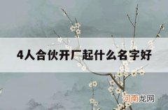 4人合伙开厂起什么名字好_四个人合伙的公司起名