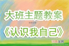 附教学反思 中班主题活动教案：认识伞教案