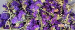 紫色的花茶是什么花 紫色的花茶是啥花