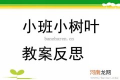 中班社会活动冬天可以看到的树叶教案反思