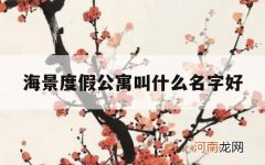 海景度假公寓叫什么名字好_海景公寓名称