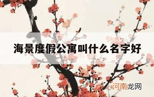 海景度假公寓叫什么名字好_海景公寓名称