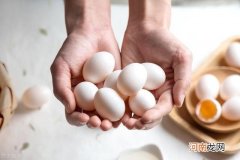 鸽子蛋怎么做蛋羹呢 鸽子蛋可以做蛋羹吗