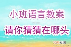 小班语言活动古诗—静夜思教案反思