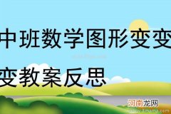 中班数学活动图形变变变教案反思