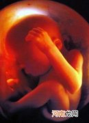 胎儿自慰真的假的 16周大男性胎儿会勃起