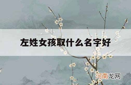 左姓女孩取什么名字好_左取名字大全女孩名字