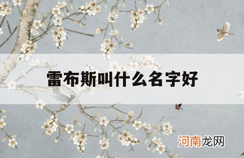 雷布斯叫什么名字好_布雷斯