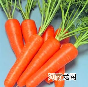 胡萝卜既美容又瘦身 过量食用致女性不孕