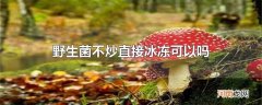 野生菌不炒直接冰冻可以吗