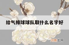 给气排球球队取什么名字好_好听的气排球队名字