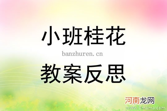 小班美术新年礼物教案反思