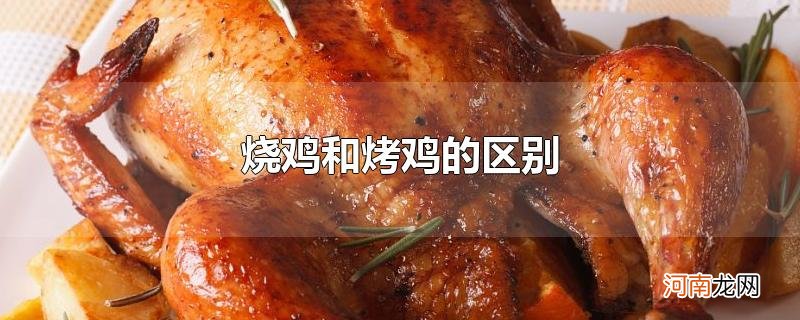 烧鸡和烤鸡的区别