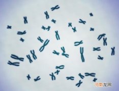 怎样发现异常的染色体
