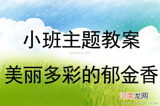 小班主题活动美丽多彩的郁金香教案反思