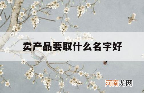 卖产品要取什么名字好_卖产品取什么名字能让人记住