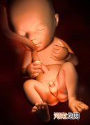 胎儿在肚子里会哭吗 揭开胎儿鲜为人知的秘闻