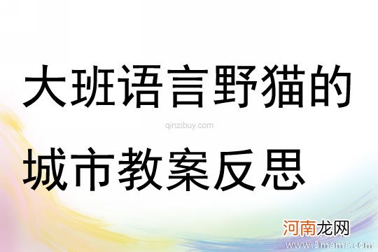 大班语言公开课野猫的城市教案反思