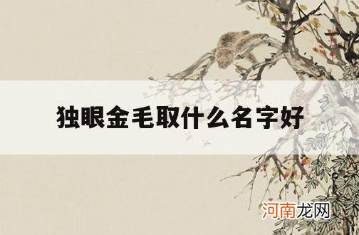 独眼金毛取什么名字好_金毛最适合取什么名字