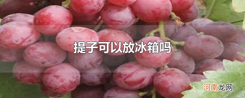 提子可以放冰箱吗