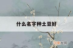 什么名字种土豆好_土豆有几种名字