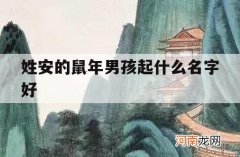 姓安的鼠年男孩起什么名字好_鼠年取名子安