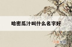 哈密瓜汁叫什么名字好_哈密瓜汁和什么榨汁