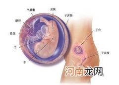 胎儿宫内诊断有哪些方法