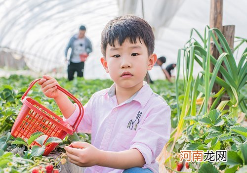 开学季幼儿园小男孩热点理发造型 四五岁男童秋季必梳短发设计别错过