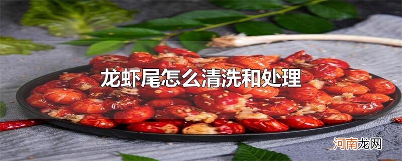 龙虾尾怎么清洗和处理